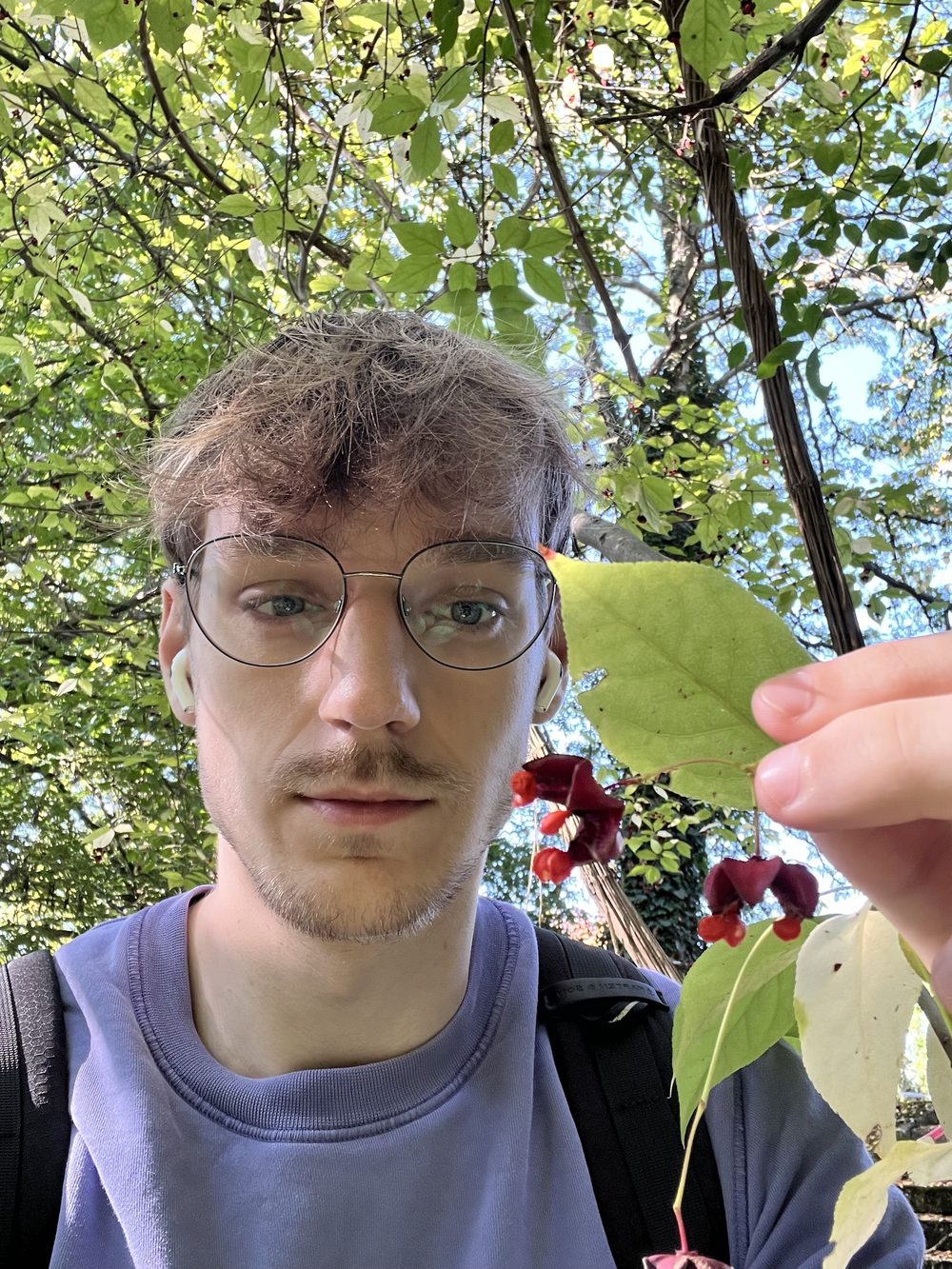Benjamin Varbelow betrachtet die Früchte eines Pfaffenhütchens