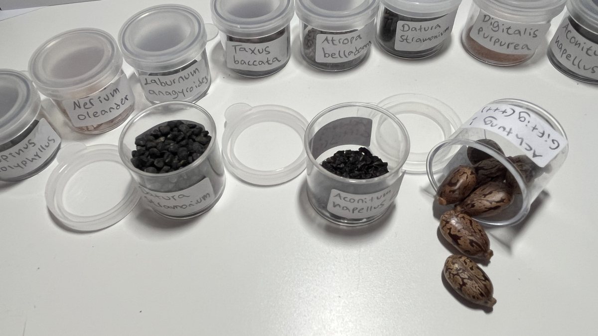 Samensammlung giftiger Pflanzen