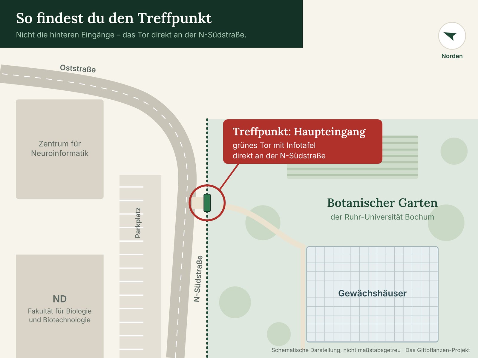 Schematischer Lageplan: Der Treffpunkt liegt am grünen Tor des Botanischen Gartens an der N-Südstraße, kurz vor der Kurve in die Oststraße. Auf der anderen Straßenseite liegen Parkplätze, das Gebäude ND der Fakultät für Biologie und Biotechnologie und das Zentrum für Neuroinformatik.
